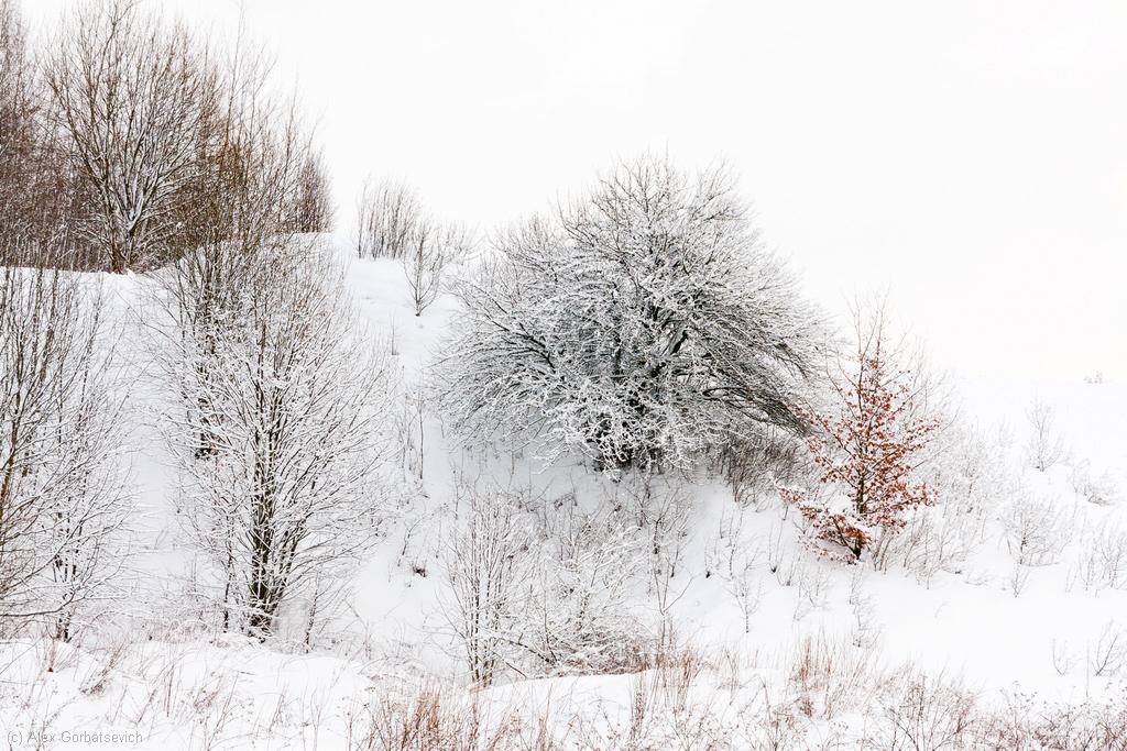 �� ������