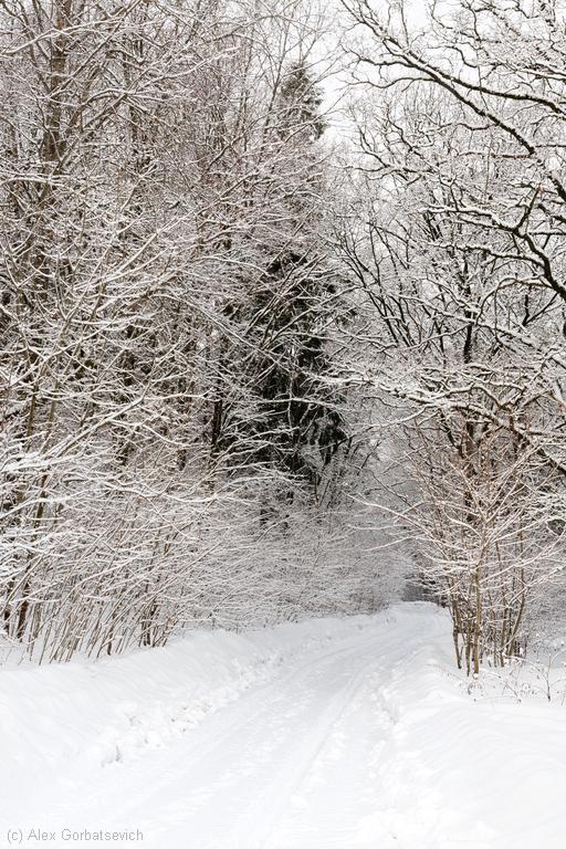 ������ � ����������� ����