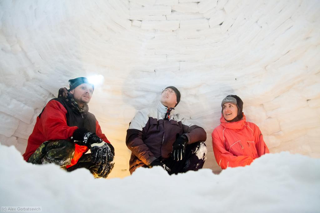 ������ ����