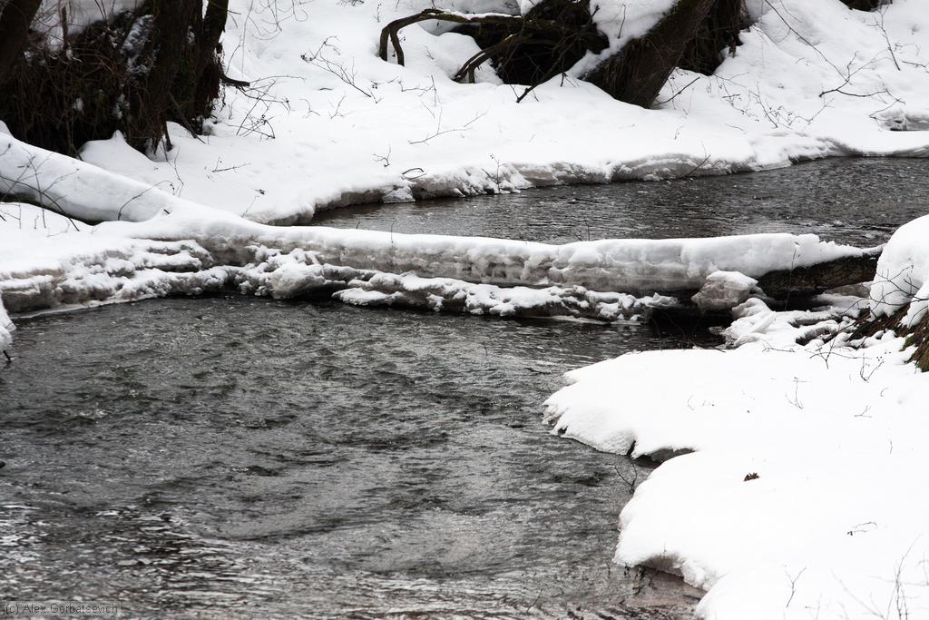 �. �����