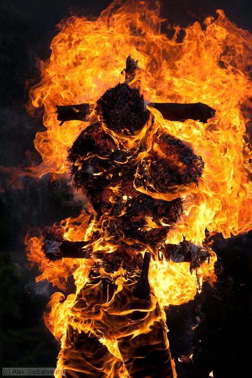 ����������������