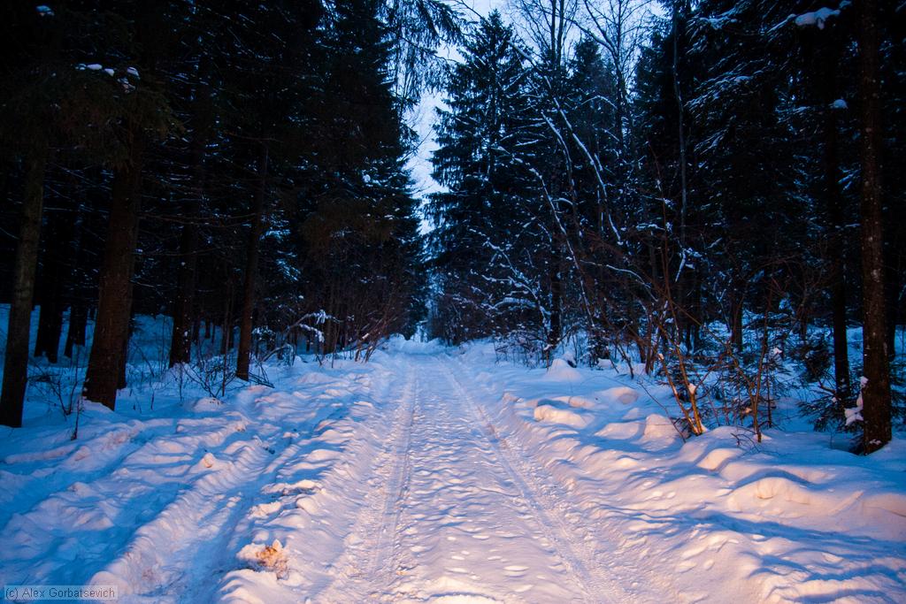 ������ �� ����� ������ ��������� ��������������