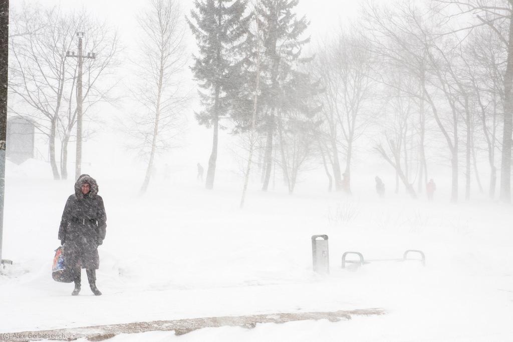 � ��������