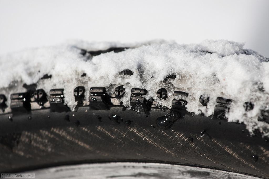 ������ �����