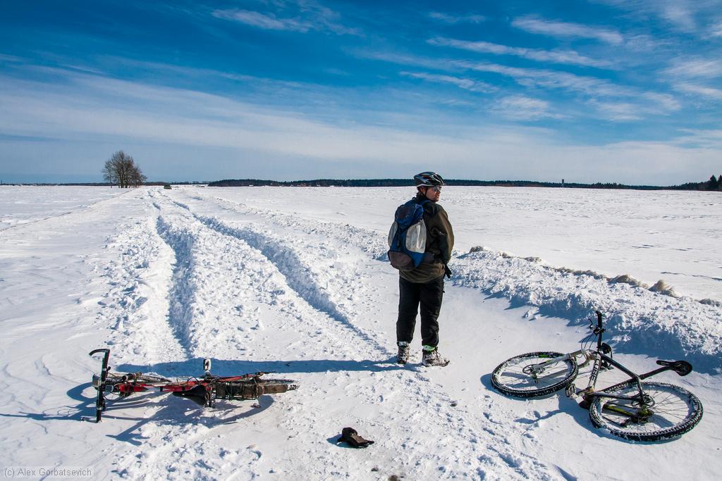 ������ ����� ����. �����