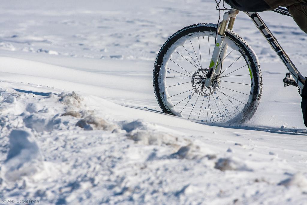 ����� �������