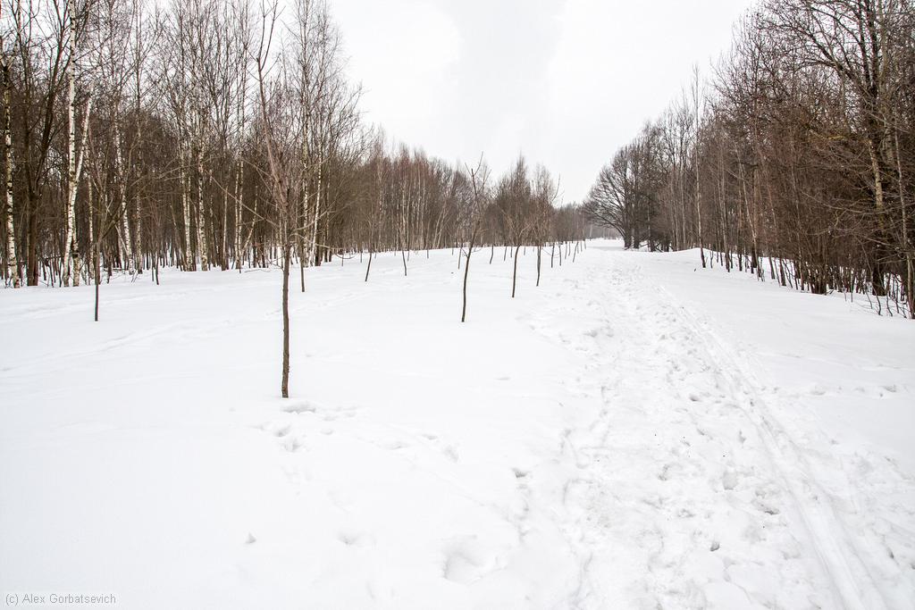 ����� �������