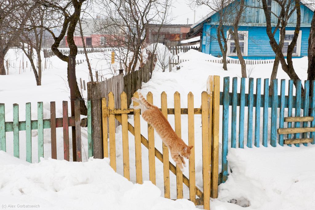 ������ ��������