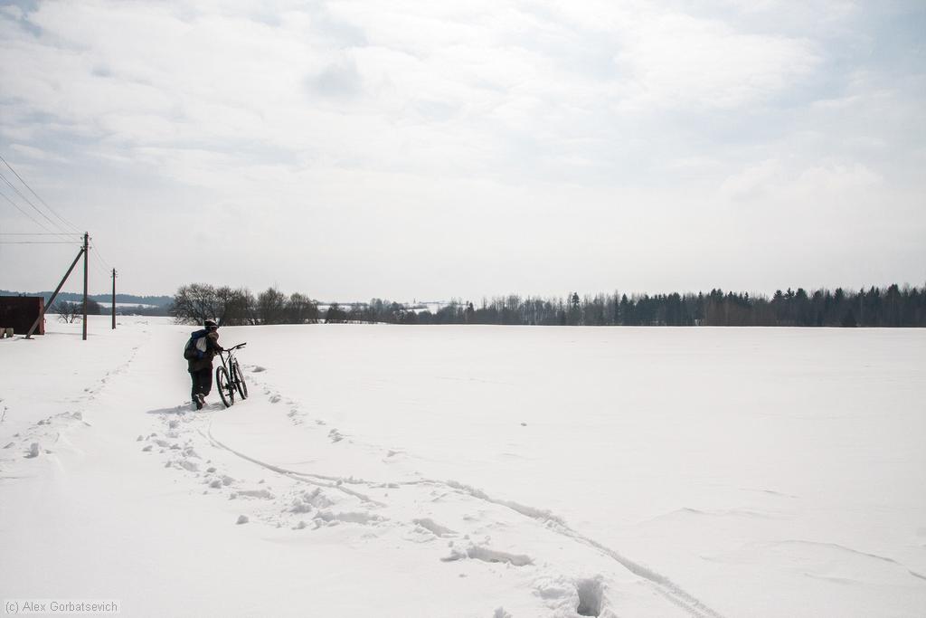 ������ �����������