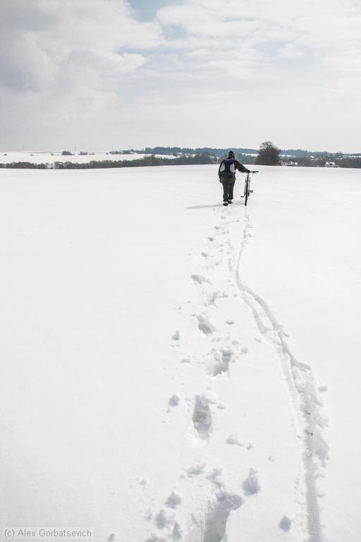 ����� ����