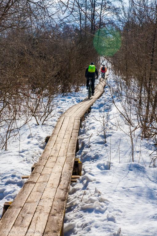 �������� �������