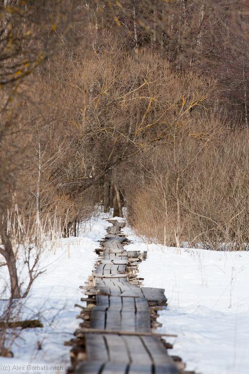 ������� �����