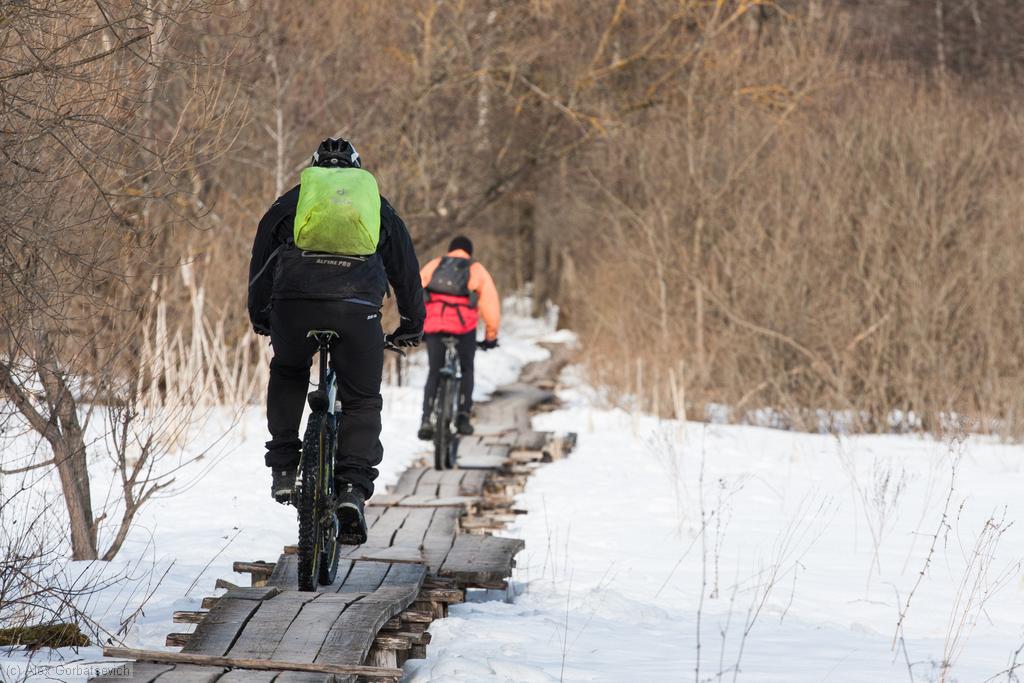 ������� ����