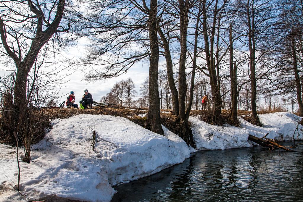 ������ �� �������