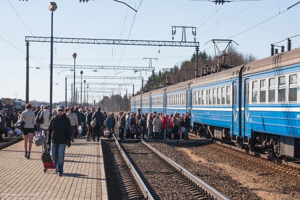 ���� ���������