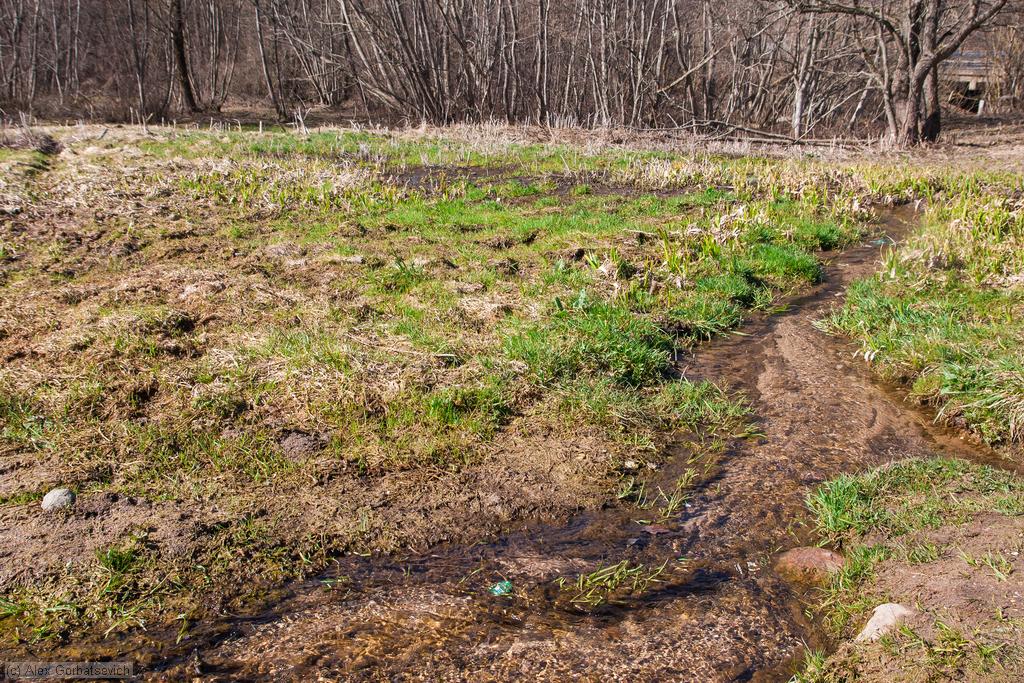 �������� ������