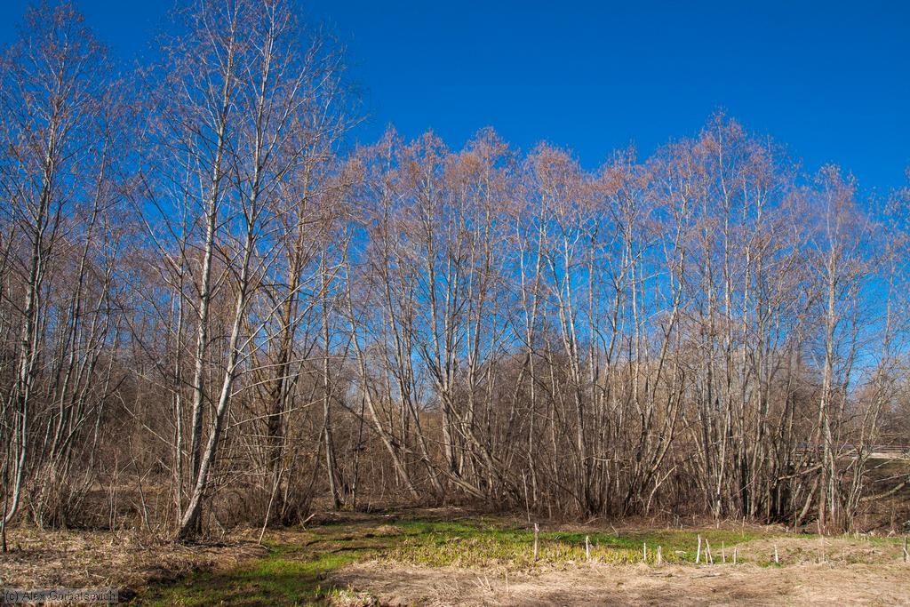 �� ������ �������