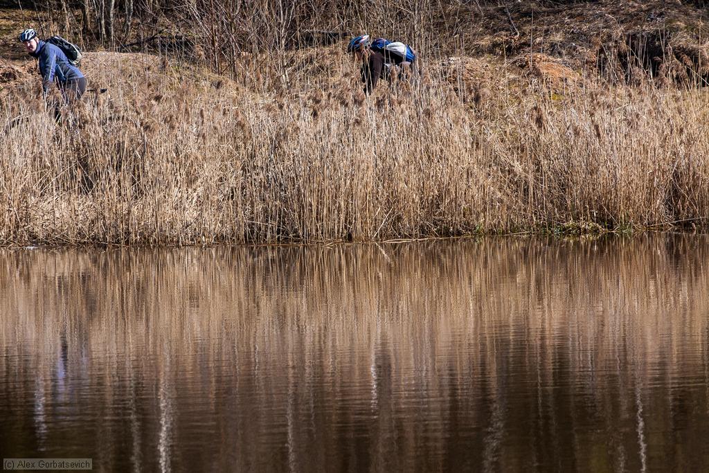 ����������� � �������