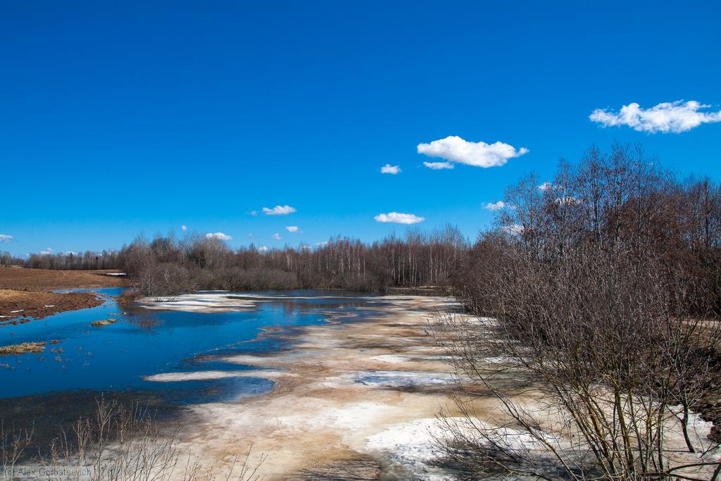 ��������� ����������� ����