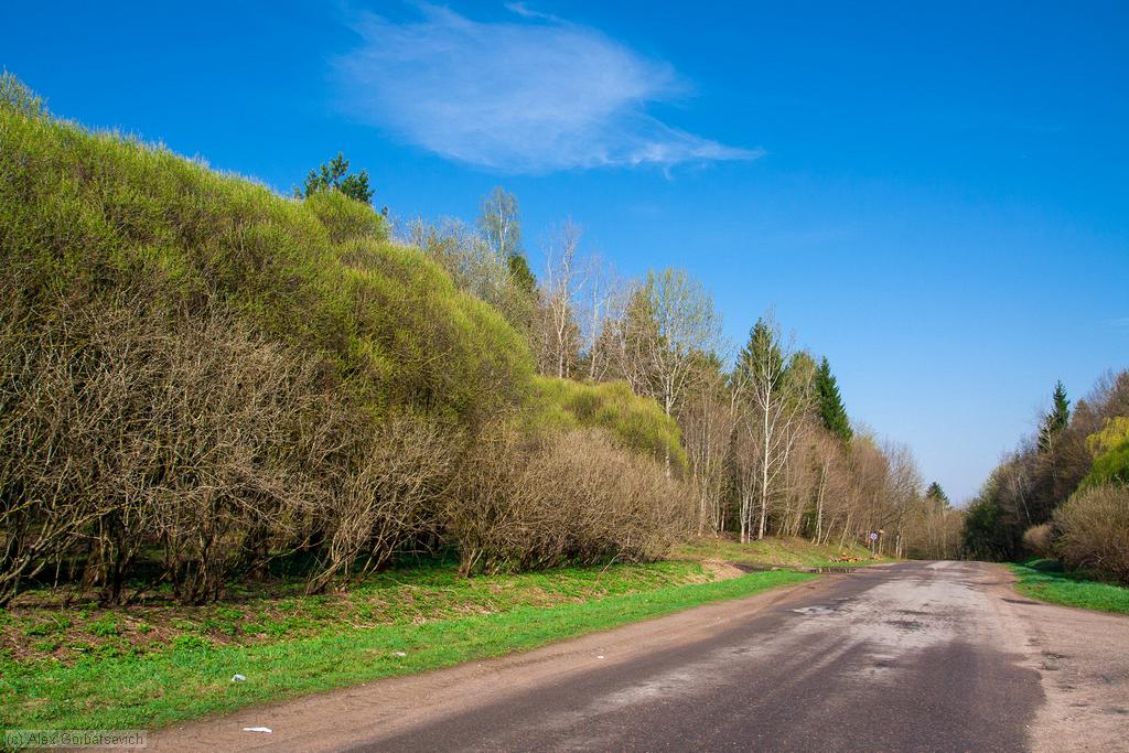 ������ ���