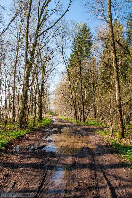 �������� ������