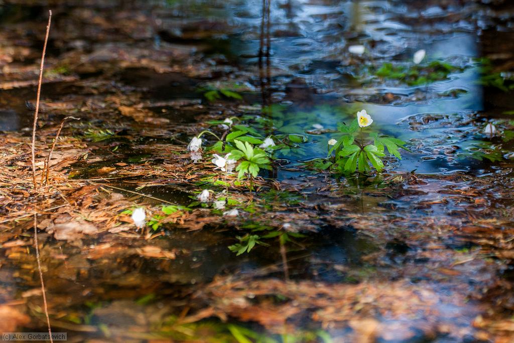 � ������