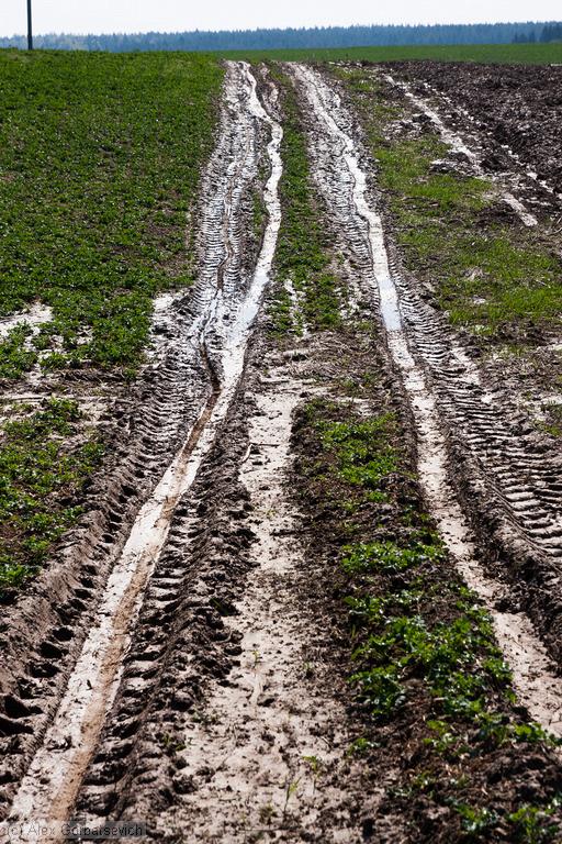 ��������� ������� ������