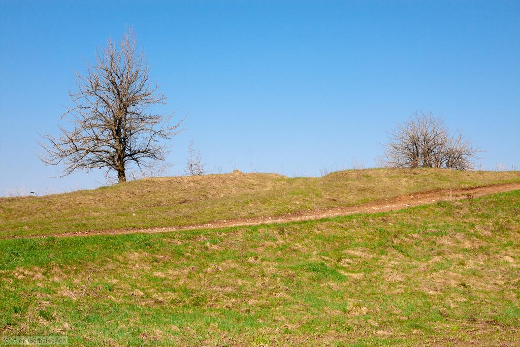 �������� ������