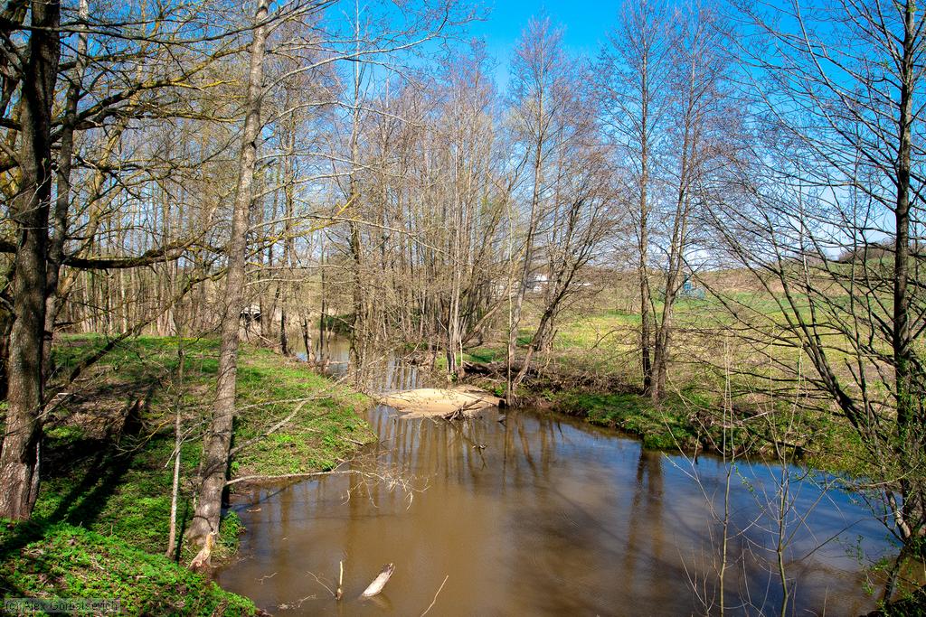 ������ ����