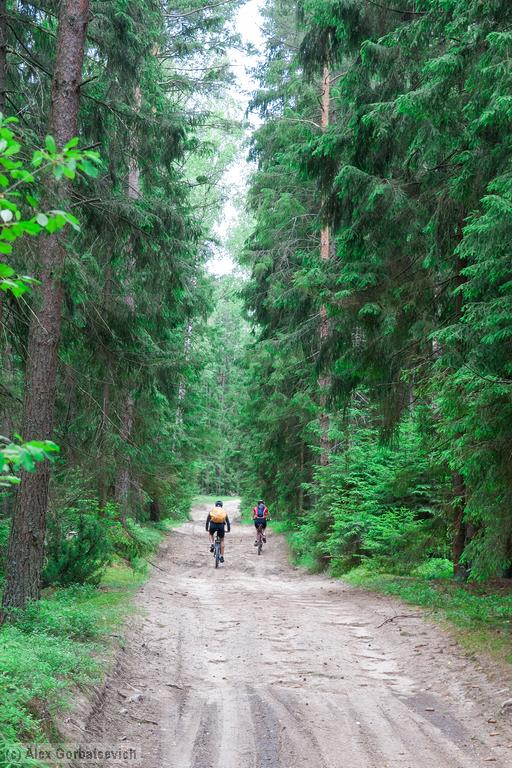 �� ������ �������