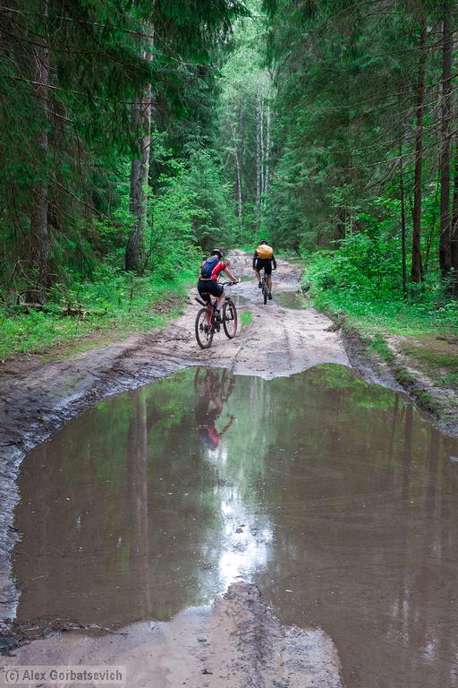 ���� ����