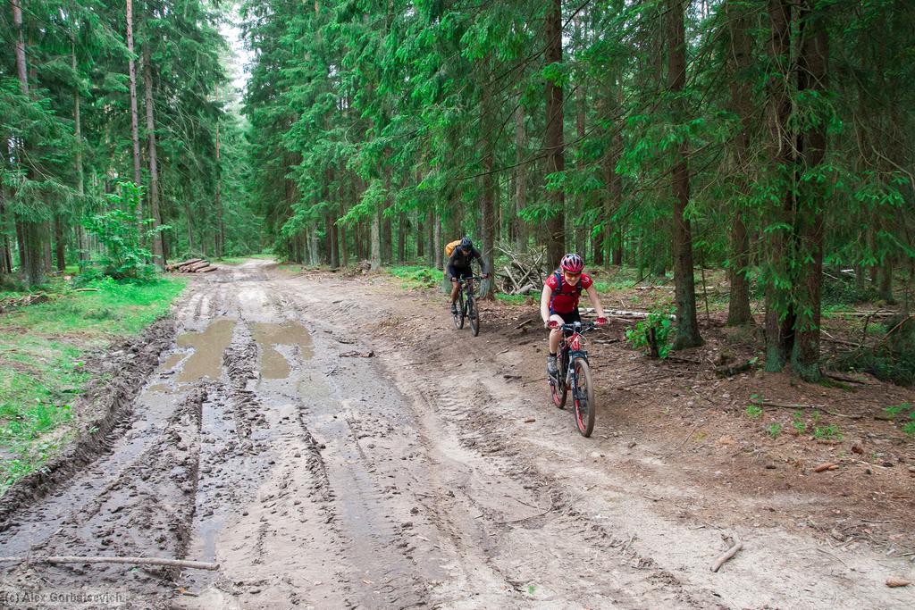 �� ������