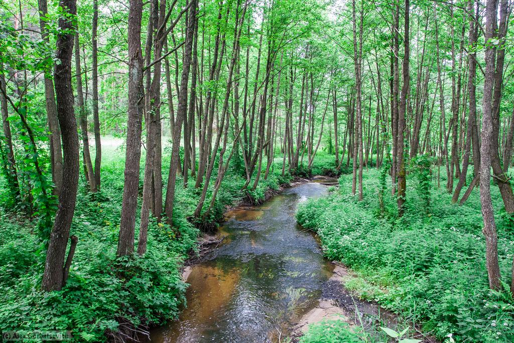 �. �����