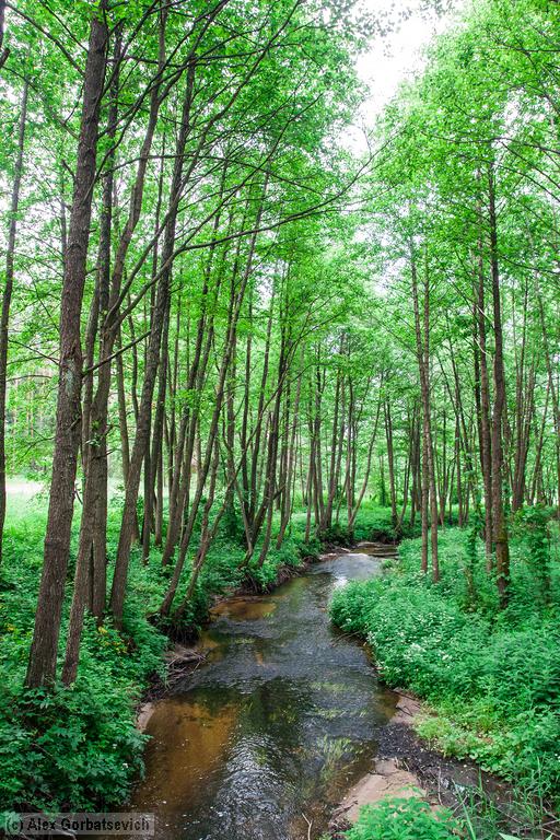 �. �����