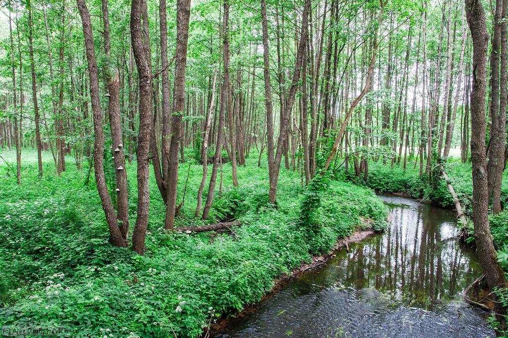 �. �����