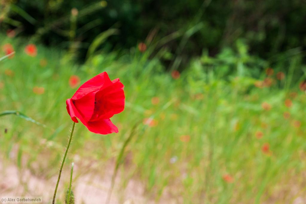 ��������� ������