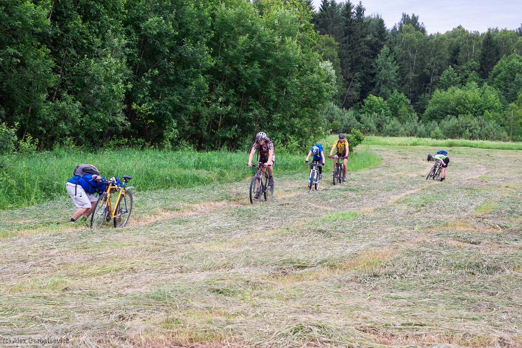 ������ ������