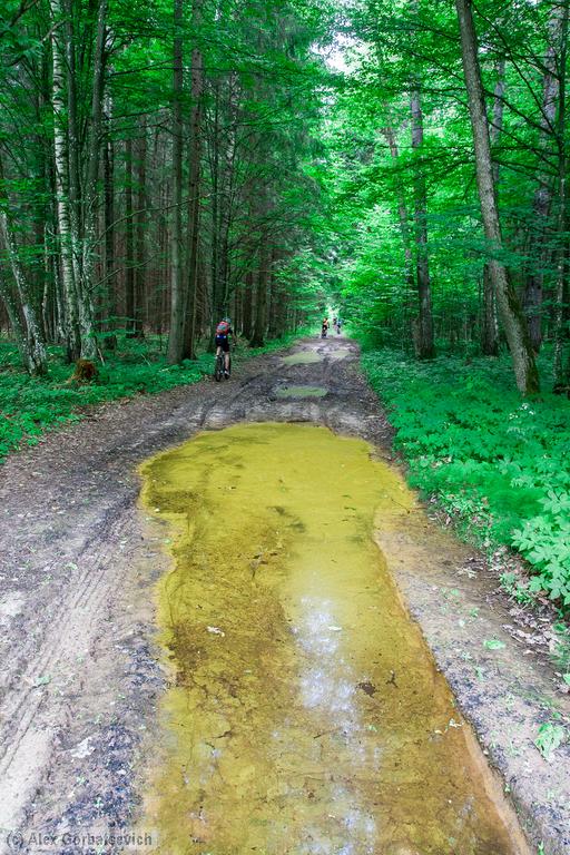 ������ �������