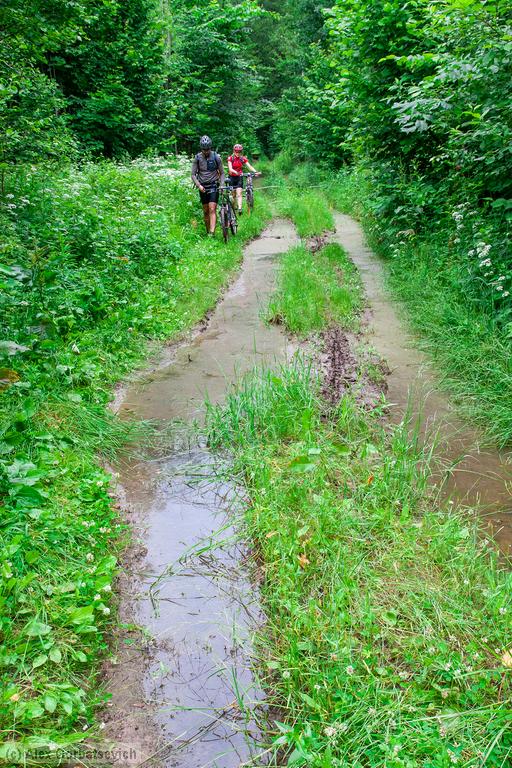 ����� ����