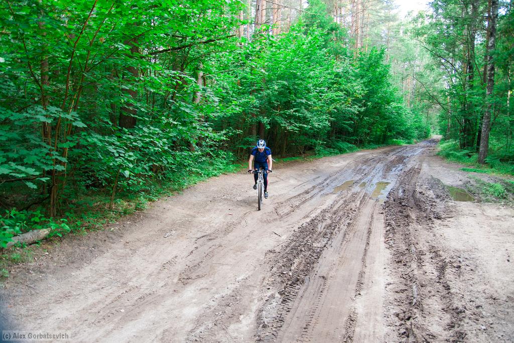 ������� �������