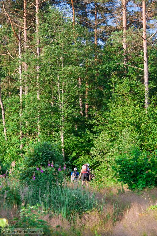 ������� � ����