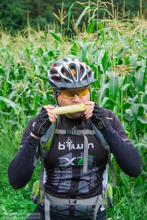 ������� �������