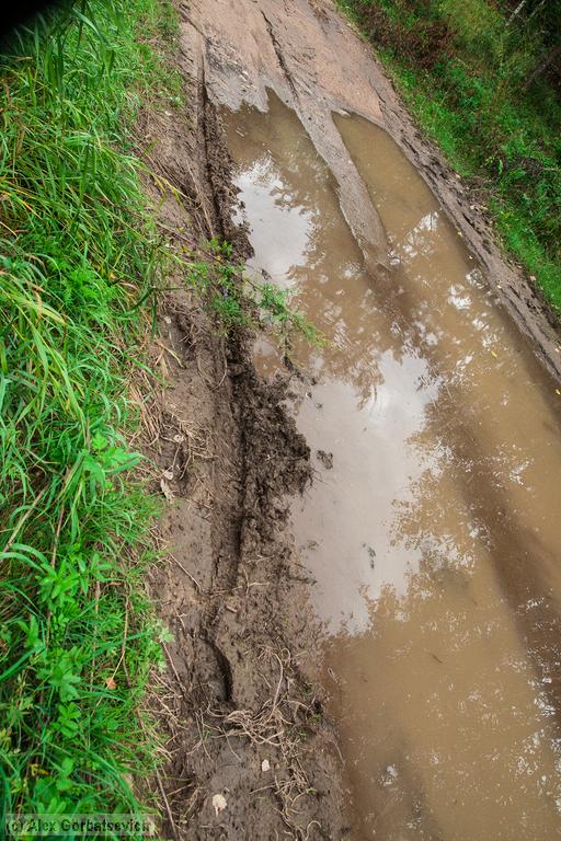 �������� � ����