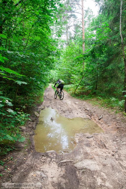 ������� ��������