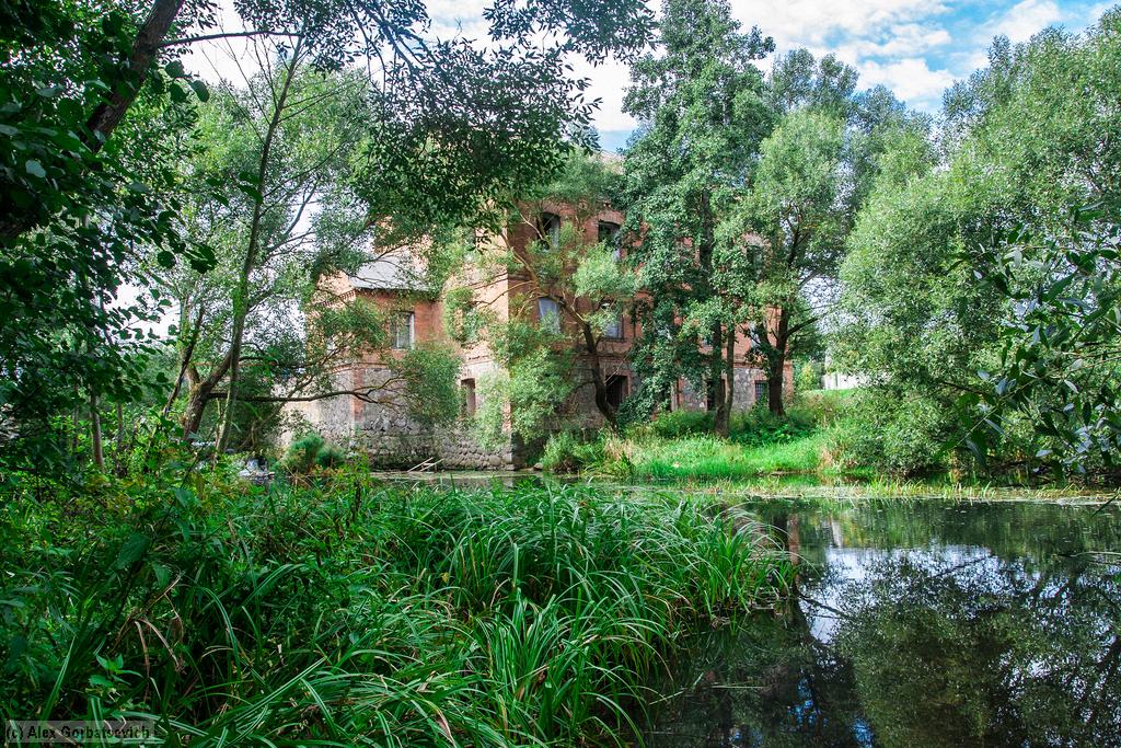 �. �������, ������� ��������