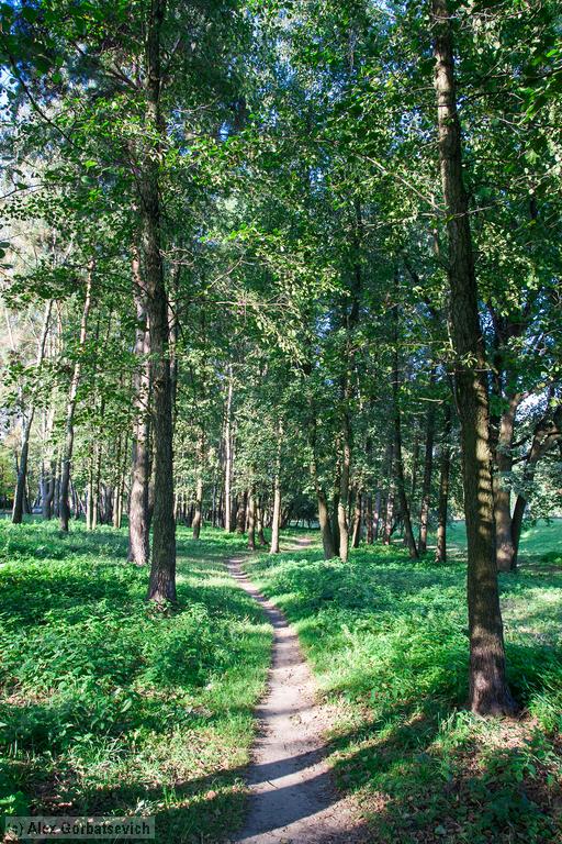 �������� ����� ��