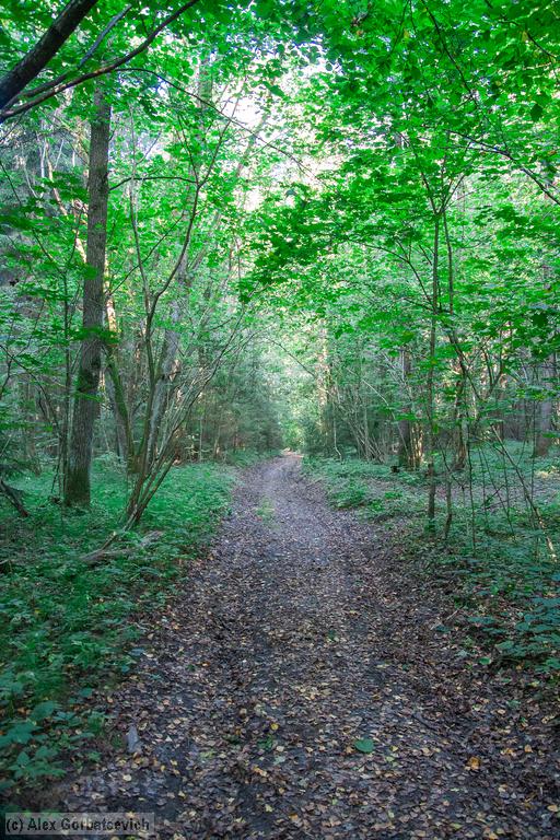 ������ ������