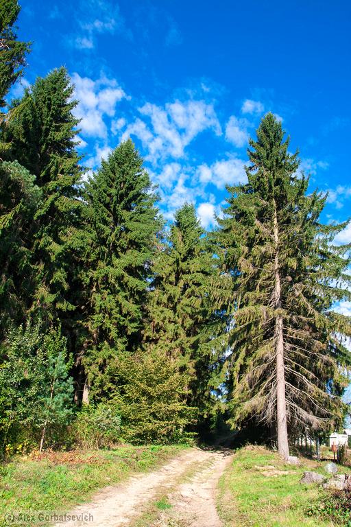 ���� ������