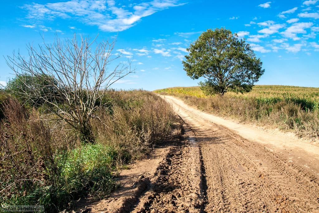 ������� ������