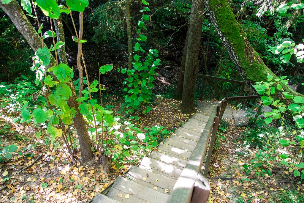 ���� � ����������� �����